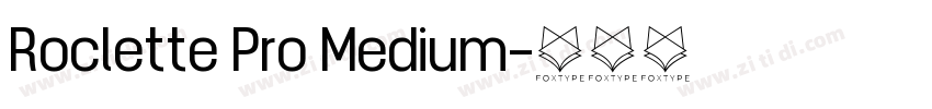 Roclette Pro Medium字体转换
